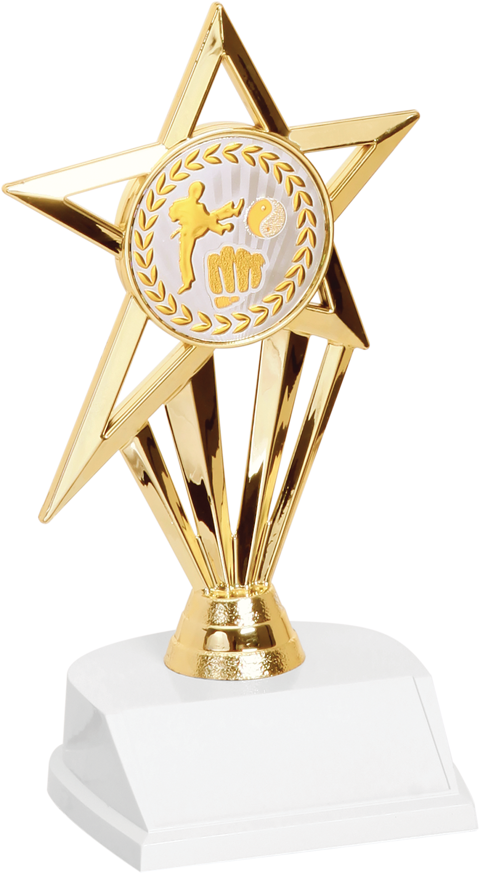 Martial Arts Star Trophy - Trophy (1800x1800), Png Download