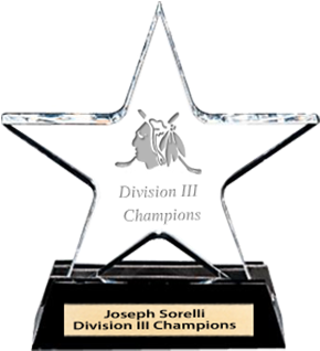 Star Acrylic - Trophy (300x400), Png Download
