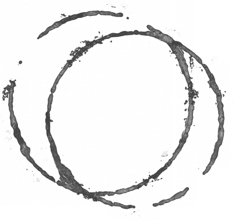 Coffee Stain Stamp 001 By Brooke Gazarek - Digital Scrapbooking (456x430), Png Download