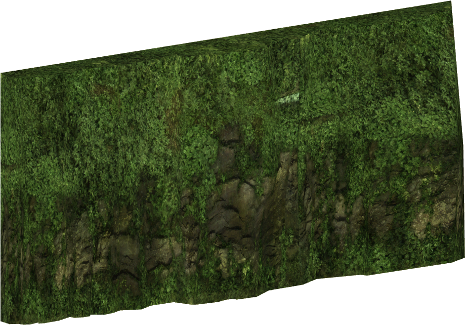 Tropical Background (940x940), Png Download