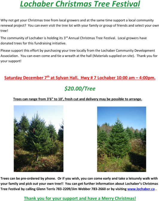 Lochaber Christmas Tree - Shortleaf Black Spruce (695x900), Png Download