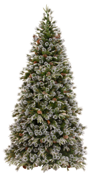 Xmas Pine Tree Png 21 By Iamszissz - Christmas Tree For Sale Philippines (307x589), Png Download