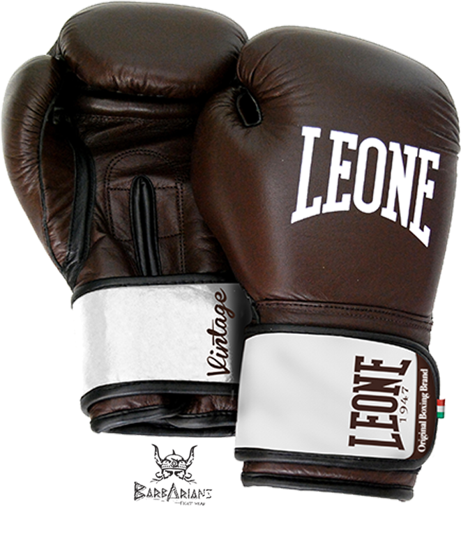 Kick Boxing, Guantes De Boxeo, Diseños De Época, Deporte, - Leone Vintage Boxing Gloves (800x800), Png Download