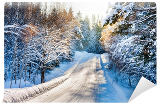 Small Country Road In Winter With Sunshine On Snowy - Hydra International Ltd Anti-icing Snow Melting Hydra (400x400), Png Download