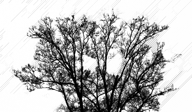 Monochrome (800x468), Png Download