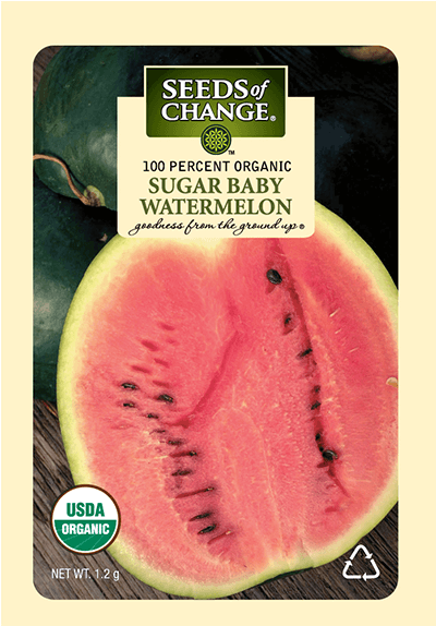 Organic Sugar Baby Watermelon Seeds - Seeds Of Change 21076 Organic Zesty Cln Quinoa Blend (573x573), Png Download