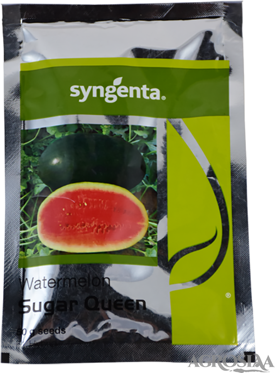 F1 - Sugar Queen Watermelon Seeds (600x800), Png Download