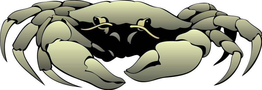 Crab 01 - Dutch Harbor King Crab Mug (900x310), Png Download