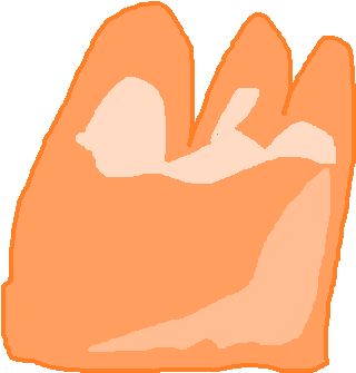 Orang - Wiki (355x362), Png Download