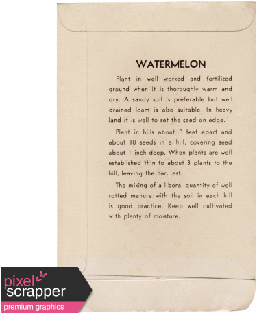 Slice Of Summer - Document (456x456), Png Download