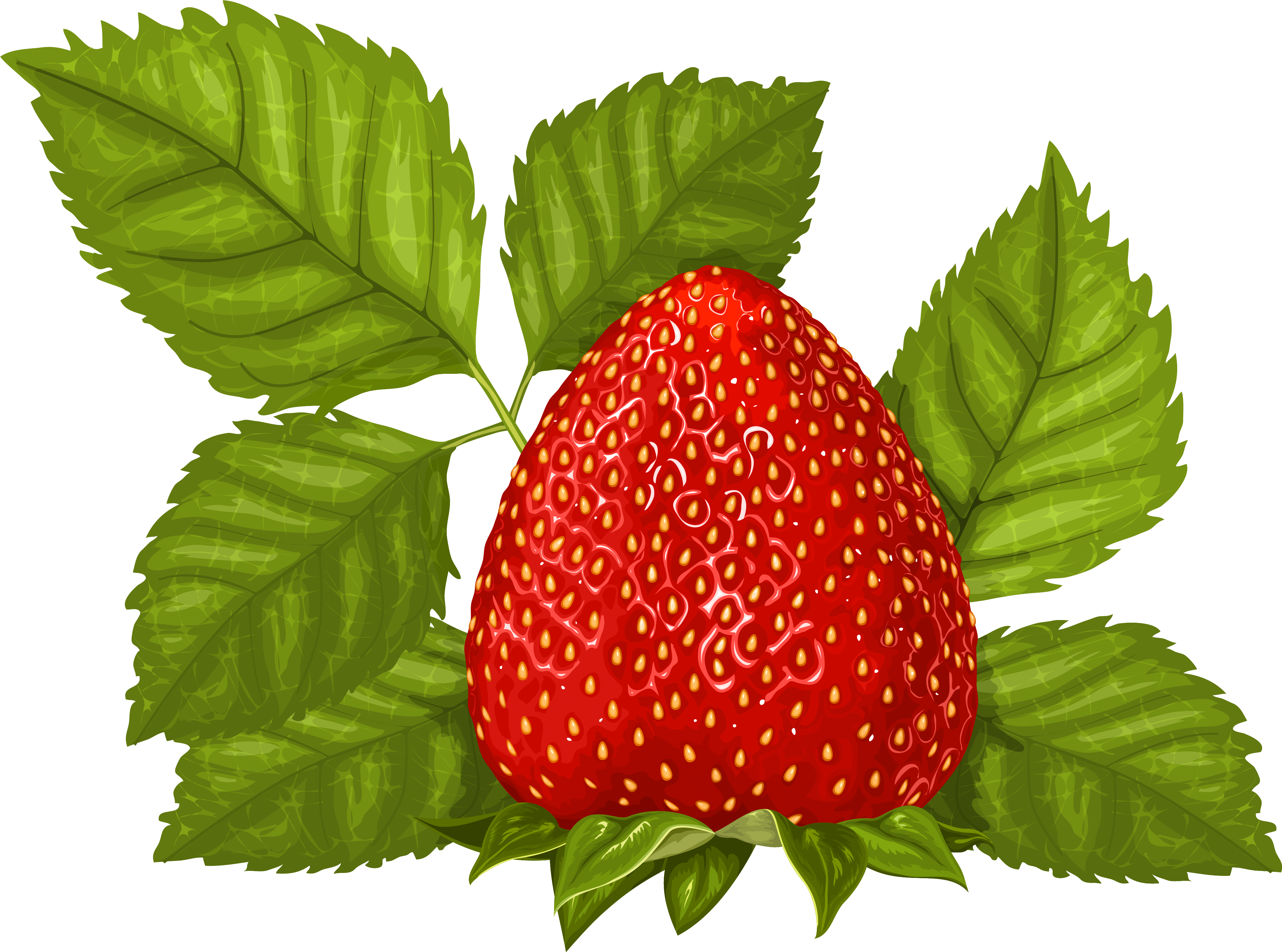 Strawberry With Leaves Png Clipart Picture - Portable Network Graphics (4447x3311), Png Download