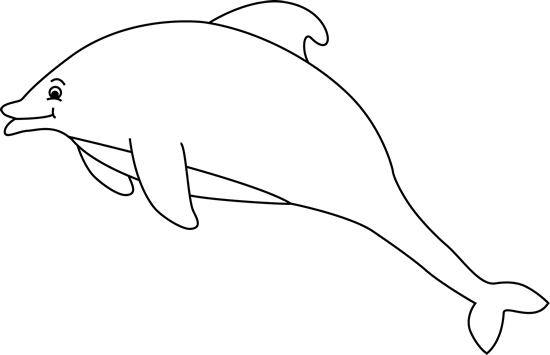 White Dolphin With Black Background (550x355), Png Download