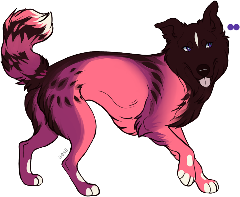 Picture - Dog Catches Something (800x645), Png Download