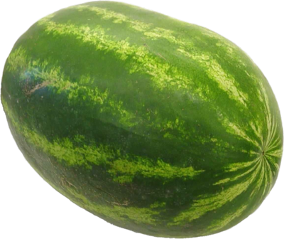 Watermelon Hybrids - Watermelon Transparent Background (400x336), Png Download