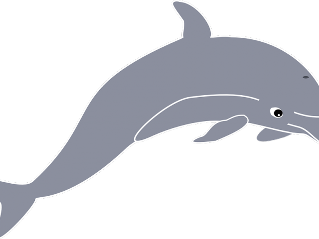 Dolphin Clipart Spinner Dolphin - Dolphin (640x480), Png Download