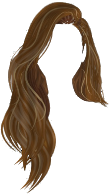 Marrom cabelo png