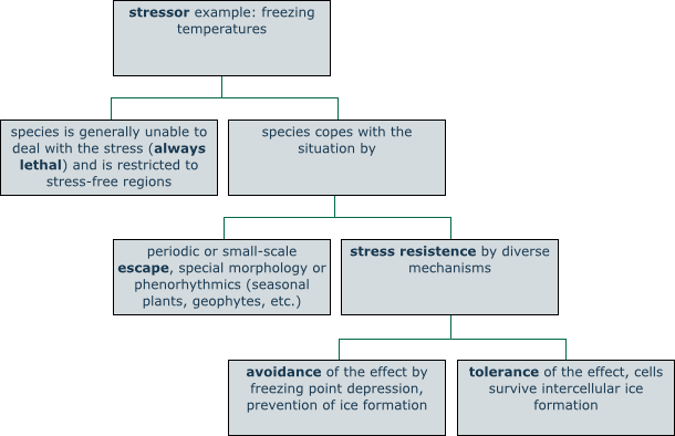 Plants And Climatic Stress - Esquema Del Estres (610x394), Png Download