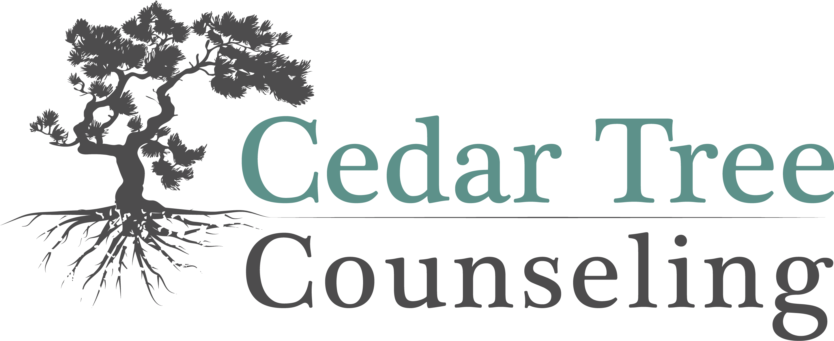 Cedar Tree Counseling, Ltd - Carpe Diem Queen Duvet (2916x1259), Png Download
