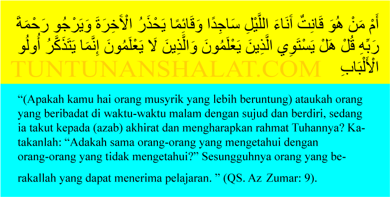 Azzumar2 - Document (800x600), Png Download