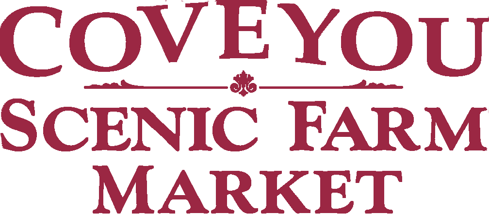 Dalhousie University (1008x443), Png Download