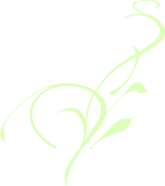 Download Light Green Swirl Png Image With No Background Pngkey Com