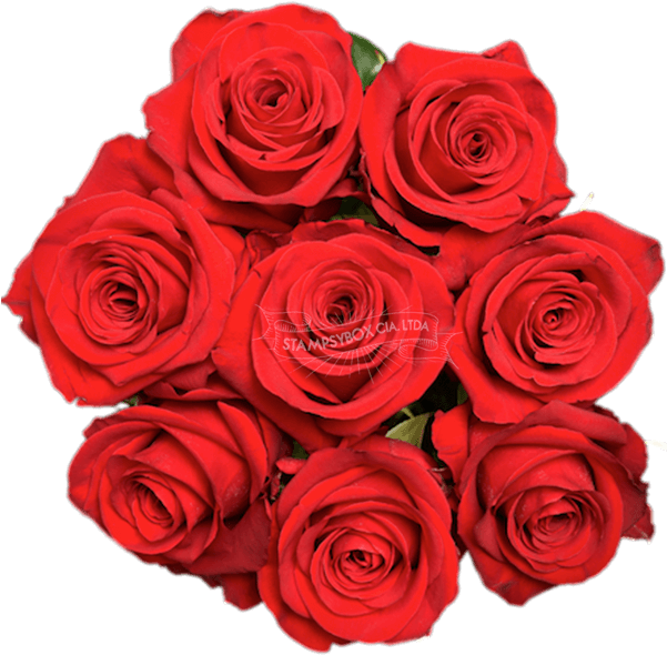 Floribunda (600x600), Png Download