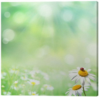 Sommar Bakgrund (400x400), Png Download