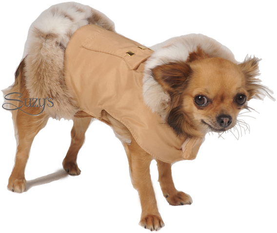Coat (625x542), Png Download