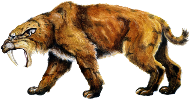 Sabertooth Tiger - Saber Tooth Tiger Png (640x336), Png Download