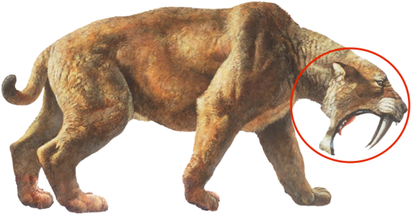 Saber Tooth Cat - Saber Tooth Cat Png (633x480), Png Download