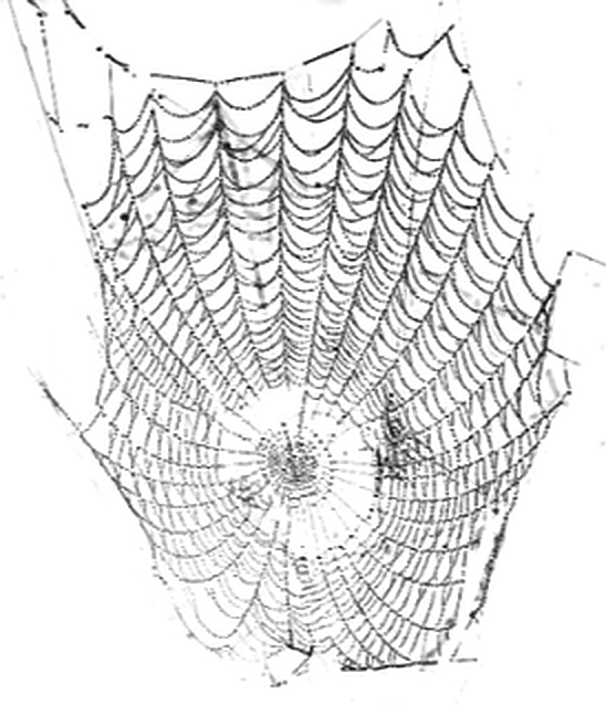 Sticker (548x638), Png Download