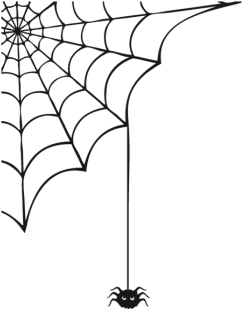 Color De La Superficie - Spider Vector (430x323), Png Download