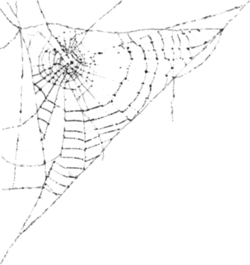 Zoom Diseño Y Fotografía - Bolsos Goticos (365x387), Png Download