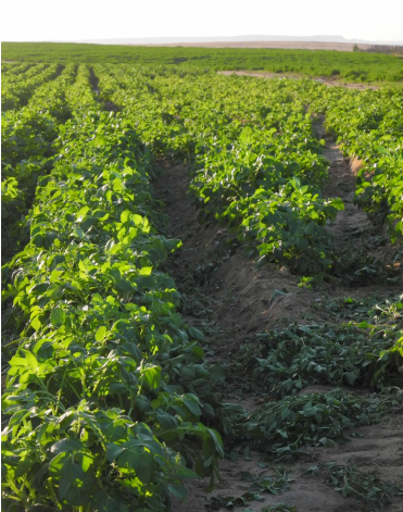 Contact - Square Metre (600x600), Png Download