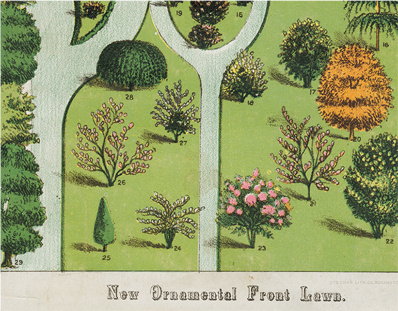 071 C0cacef2 9139 4c55 869a D2420a62a207 V=1527865563 - Garden (800x800), Png Download