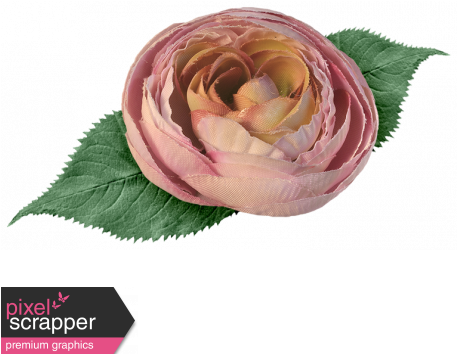 Pink Fabric Rose And Leaf - Vrijhof (456x456), Png Download