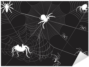 Spider (400x400), Png Download