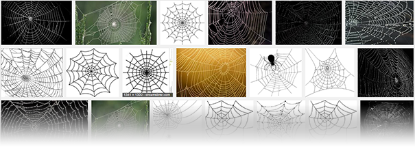 Even A Quick Google-search For “spiderweb” Didn't Help - Diablo 3 Spider Web (605x218), Png Download
