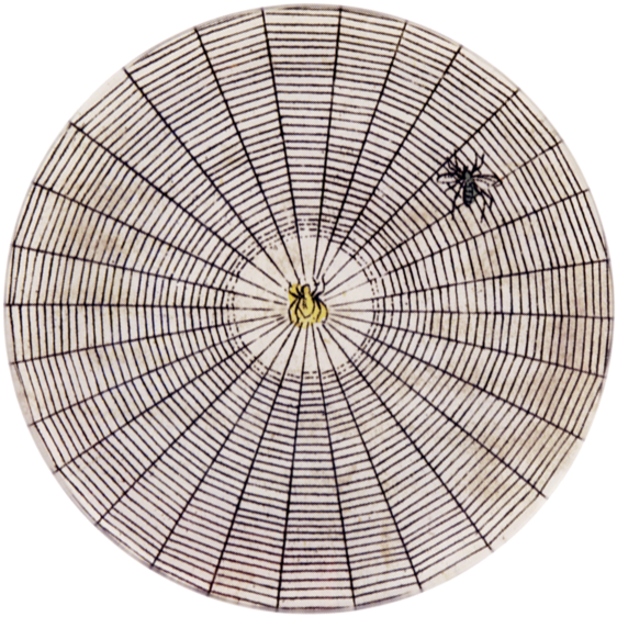 Spider Web (600x600), Png Download