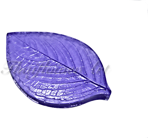 Garden Roses (640x480), Png Download