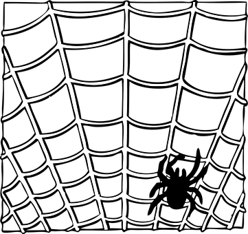 Spider, Web, Insect, Animal, Halloween - Spider Web Clip Art (361x340), Png Download