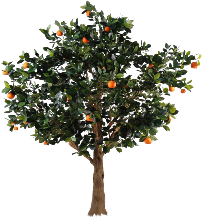 Professional Multifunctional Garden Tree Pruning Grafting (848x942), Png Download