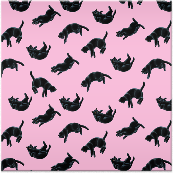 Azulejo Gatos Pretos Em Fundo Rosa De Vitor Costana - Black Cat In Pink Canvas Print - Small (800x800), Png Download