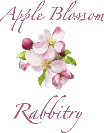 Apple Blossom Rabbitry - Dr Hauschka Night Serum (408x501), Png Download