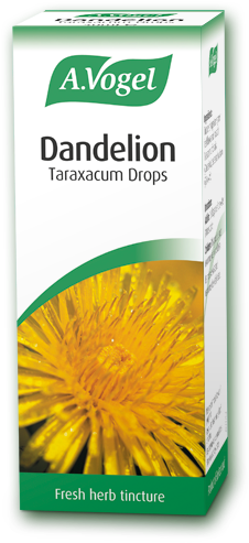 Dandelion Tincture - . Vogel Dandelion Tincture 50ml (283x500), Png Download