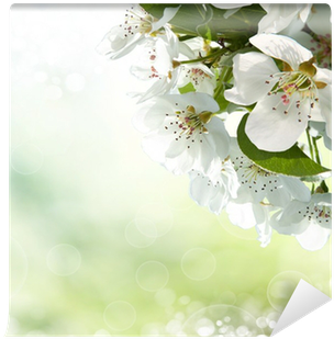 Flower (400x400), Png Download