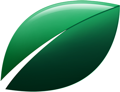 Oval (400x401), Png Download