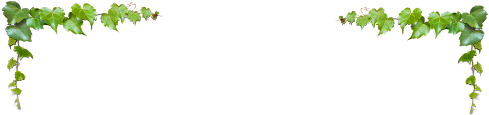 忧伤 的 图片 (1000x380), Png Download