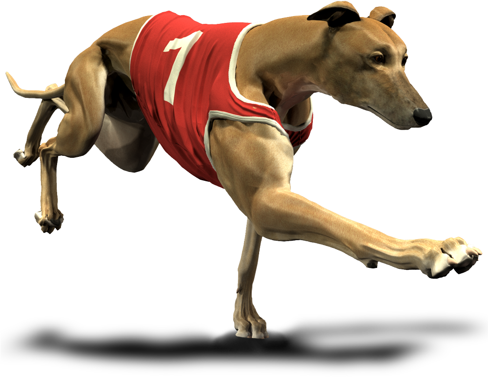 Download Greyhounds - Greyhound Cartoon Transparent Background PNG Image with No Background Download Greyhounds - Greyhound Cartoon Transparent Background PNG Image with No Background