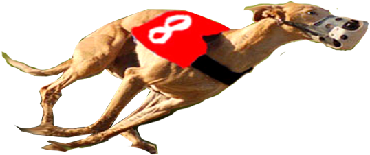 Give The Gift Of Life To A Greyhound - Running Whippet Png (556x240), Png Download